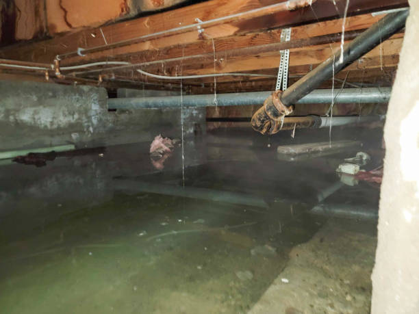 Best Sewage cleanup and water damage restoration  in Bethany, MO