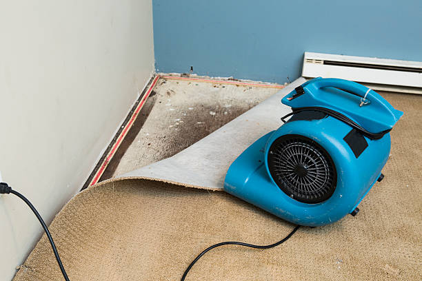 Best Carpet water damage restoration  in Bethany, MO